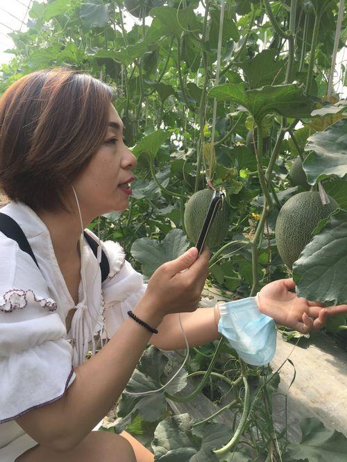 新疆吃瓜网红是谁啊视频,视频走红背后的故事